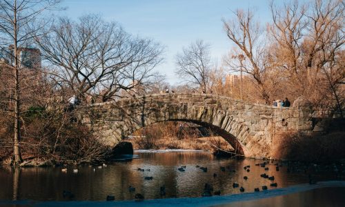 guided central park walk at IHS